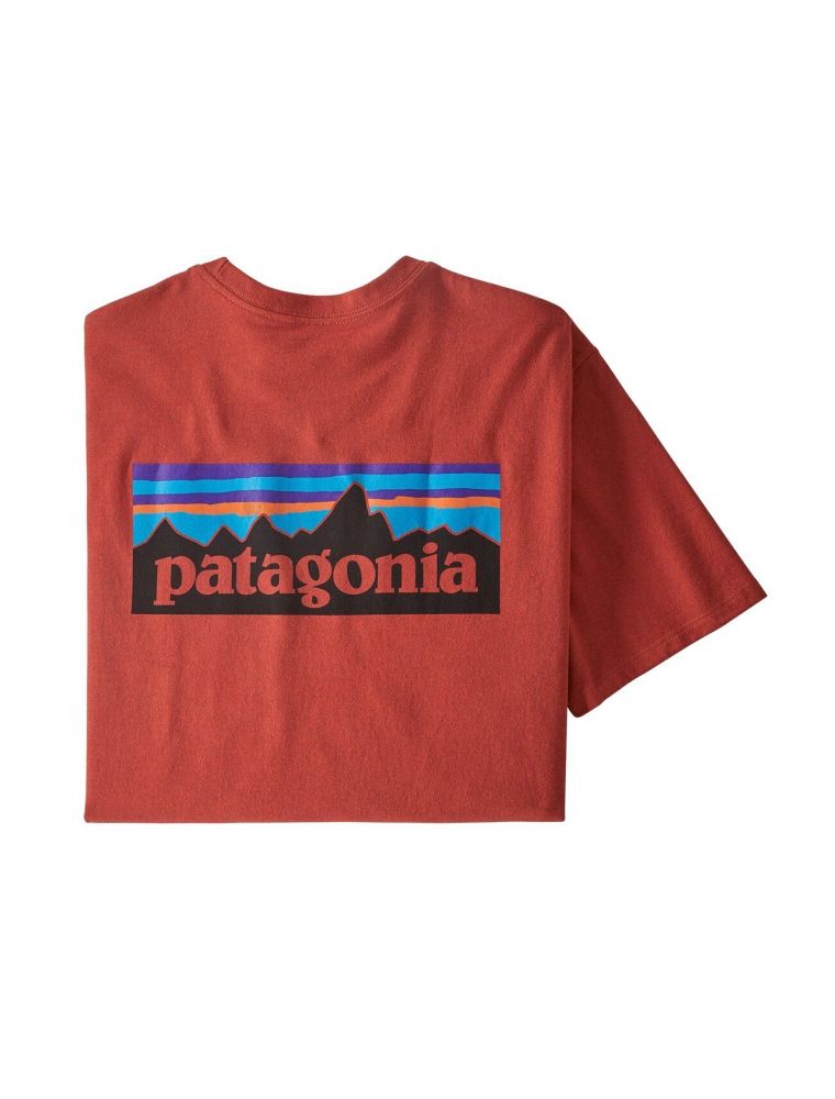patagonia t shirt homme