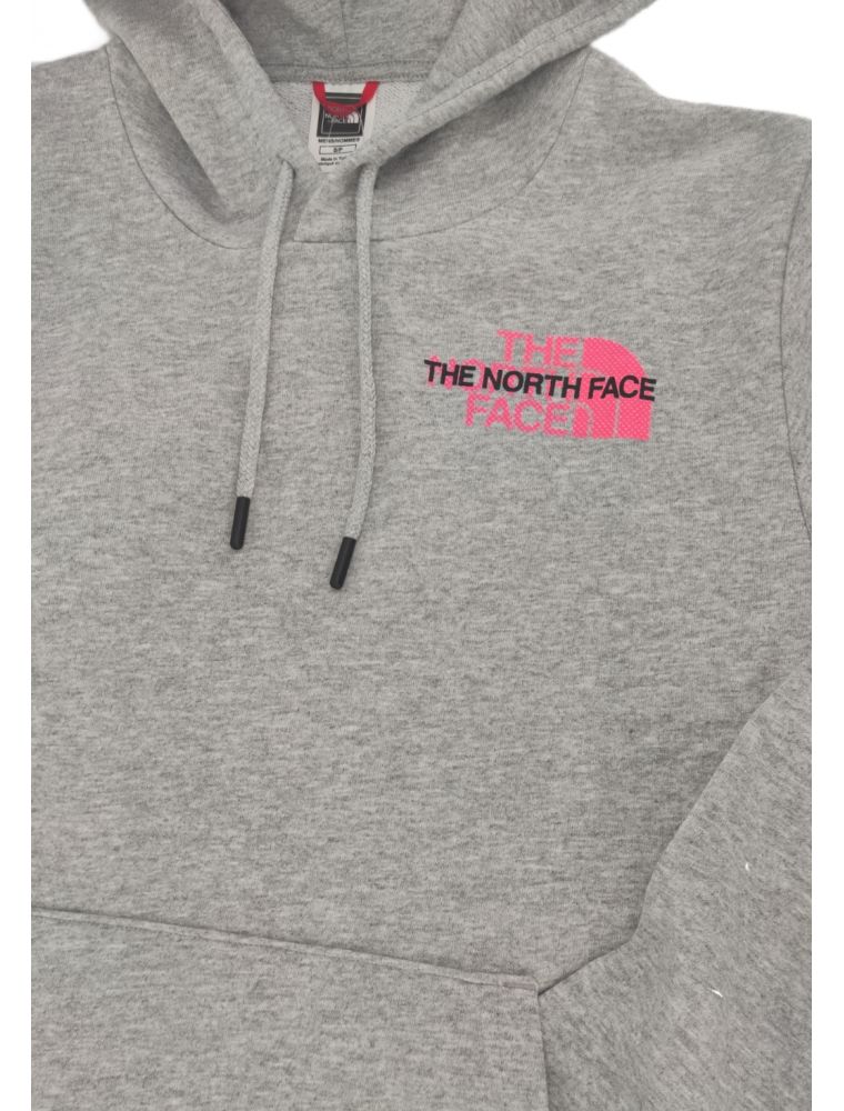 light grey north face