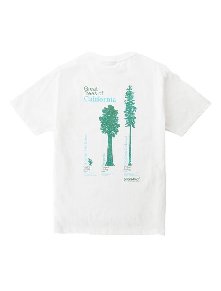 T-shirt Cali Trees Uomo White